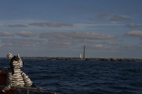 Monsieur Doudou devant le phare de l'Ile Vierge