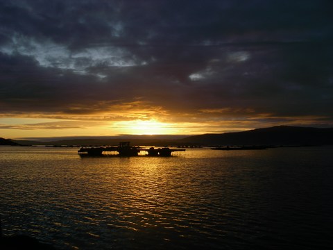 08-Coucher de soleil sur les parcs.JPG