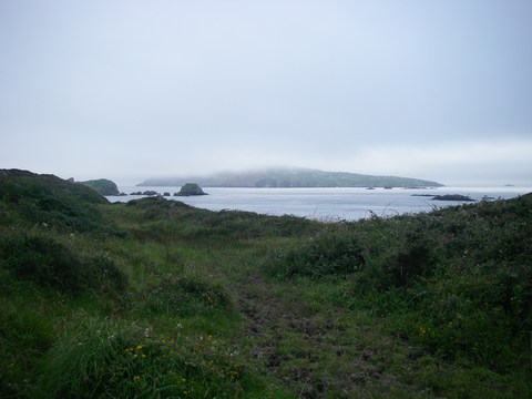 mini-15-Vue sur Cape Clear.JPG