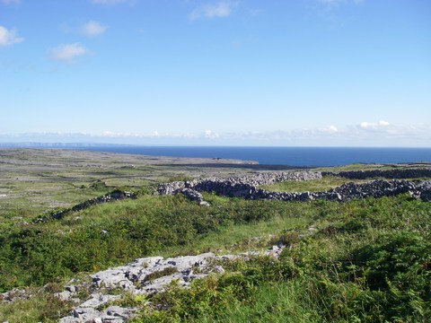 mini-17-Murets de pierre et Cliffs of Moher.JPG