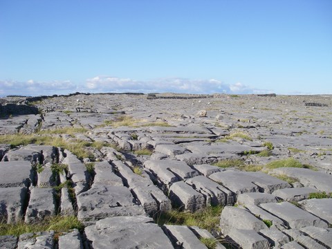 mini-33-Champ de cailloux.JPG