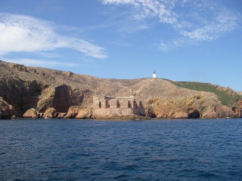 10-Ile Berlenga et fort.JPG