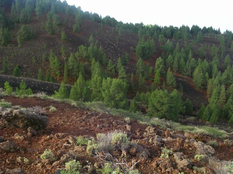 22-Couleurs de volcan.JPG