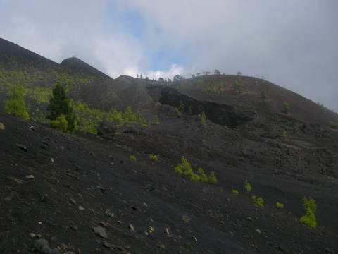 53-Les pentes du Volcan de San Martin.JPG