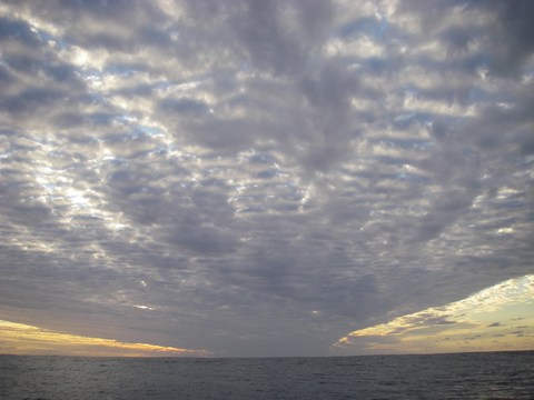 altocumulus1erfront.jpg