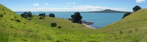 Le vallon de Browns Island, avec Auckland et Rangitoto au loin