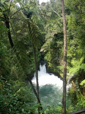 Okere Falls