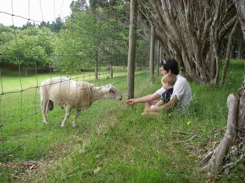 Monsieur Mouton accueille les garçons pour le camping