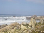 Cliquez pour voir nos albums photo sur Picasa