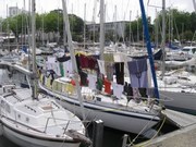 Cliquez pour voir nos albums photo sur Picasa