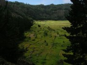 Cliquez pour voir nos albums photo sur Picasa