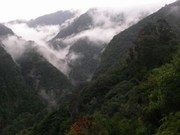 Cliquez pour voir nos albums photo sur Picasa