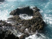 Cliquez pour voir nos albums photo sur Picasa