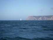 Cliquez pour voir nos albums photo sur Picasa