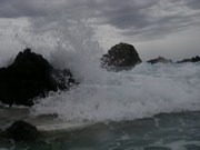Cliquez pour voir nos albums photo sur Picasa